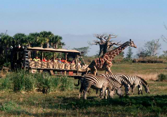 Disney's Animal Kingdom - Africa - Kilimanjaro Safaris